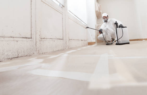 24/7 Emergency Black Mold Remediation experts in Hazlehurst, GA