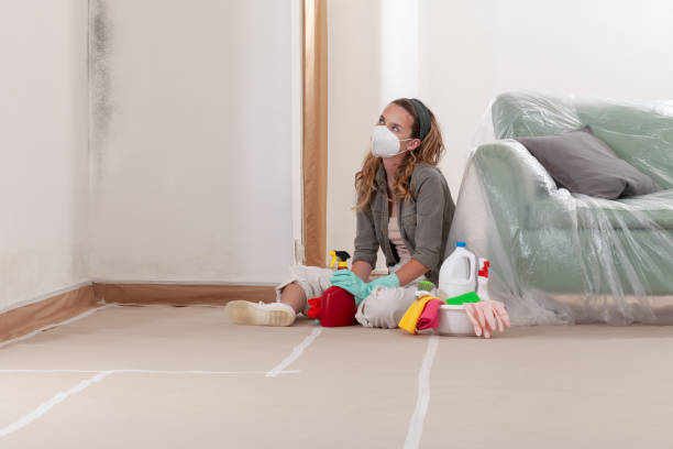 Reliable Black Mold Remediation contractor in Hazlehurst, GA by 24 Hour Mold Removal